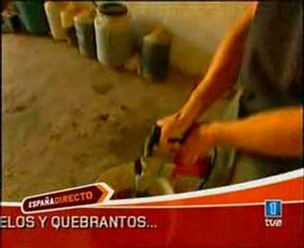 TVE Espaa directo ecocombustible Francisco Angulo