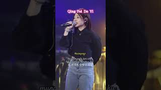 Qing Fei De Yi Meteor Garden