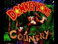 Donkey Kong Country (SNES)