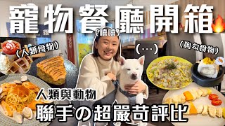 台北3間「寵物友善餐廳」開箱人類與動物聯手の超嚴苛評比打破又貴又難吃的印象桑潔魚