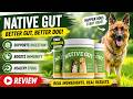 Stop Wasting Money on Dog Food Fixes — The Problem Is the GUT | Native Gut Review