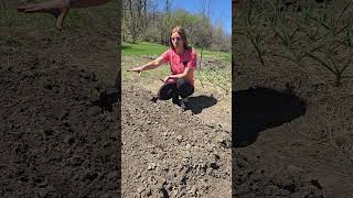 #gardening #gardeningtips #gardeningforbeginners