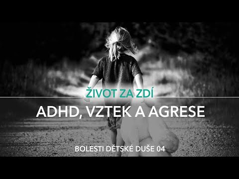 Video: 3 způsoby, jak pomoci dítěti s ADHD dělat domácí úkoly