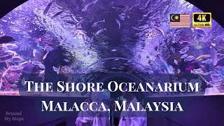 The Shore Oceanarium Melaka Walking Tour Explore Malaysias Underwater World In 4K