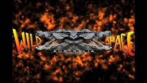 Woma Python - Endangered species - Wildspace Australia