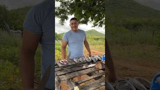 João mostra os peixes que fez na semana santa