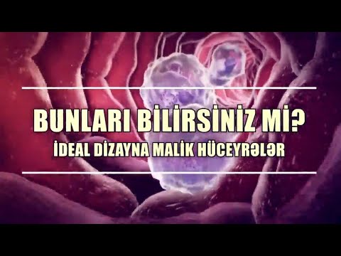 Video: Niyə hüceyrə qüllələrində qırmızı işıqlar var?