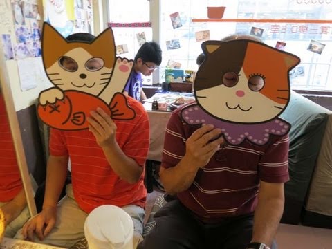  Hong Kong cat cafe  in Causeway Bay Ah Meow World s 