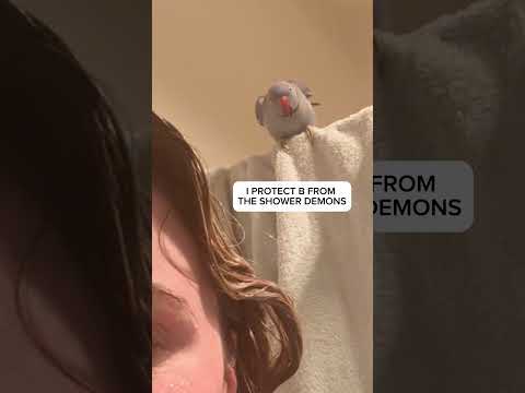 Ham casually communicates with the shower demons…