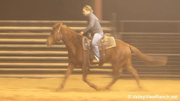 Un Deux Trois Cat - warming up in indoor arena - Valley View Ranch