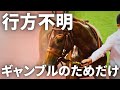 リバティアイランドだけではない、人間の娯楽のためだけに生産され行方不明になる競走馬