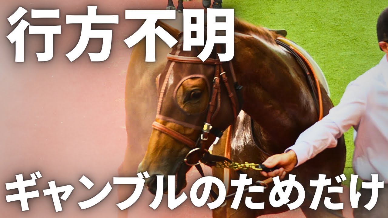 リバティアイランドだけではない、人間の娯楽のためだけに生産され行方不明になる競走馬