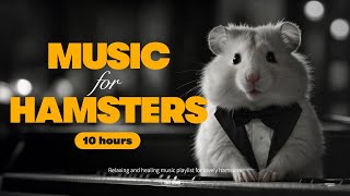 🐹 10 HOURS of Relaxing ASMR Music for Your Lovely Hamster🐹! Your little friend will love this!