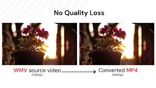 How to Convert WMV to MP4: Easy & Quick Ways for PC/Mac