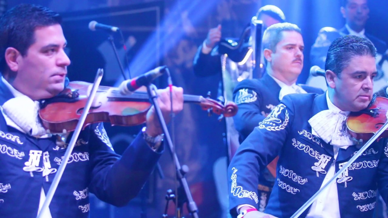 Rondinella Y Las Bodas de Luis Alonso : Mariachi Nuevo Tecalitlán