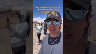 Pov: Encontraste huesos De Dinosaurio De Hace 150 mil millones de anos