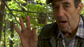 #11 Wilderness Survival Edition with Jay Tarses