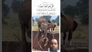 islamic chainal shortvedio motivation 🤲🤲🤲