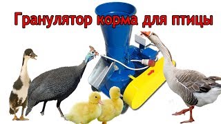 видео: Гранулятор корма для птицы 4 кВт/380 В: в чем особенности и как работает картинка: Гранулятор корма для птицы 4 кВт/380 В: в чем особенности и как работает