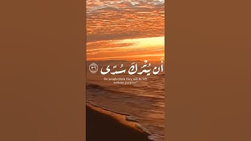 أفضل تلاوة للقارئ عبد العزيز الفقيه #قران #quran #quran_alkarim #قران_كريم #قران_كريم_راحه_نفسيه