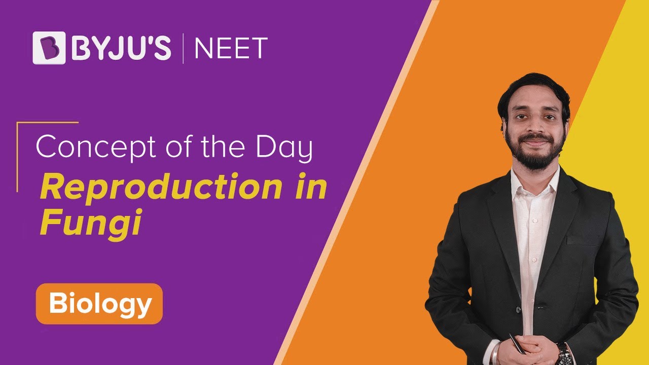 Reproduction In Fungi An Overview Of Sexual Reproduction