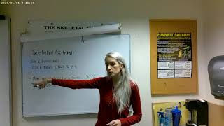 Punnett Squares Anthropology 101