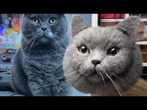 羊毛毡猫咪定制蓝猫，这是一只陪伴了主人10年的小猫咪A Blue cat that has been with its owner for 10 years