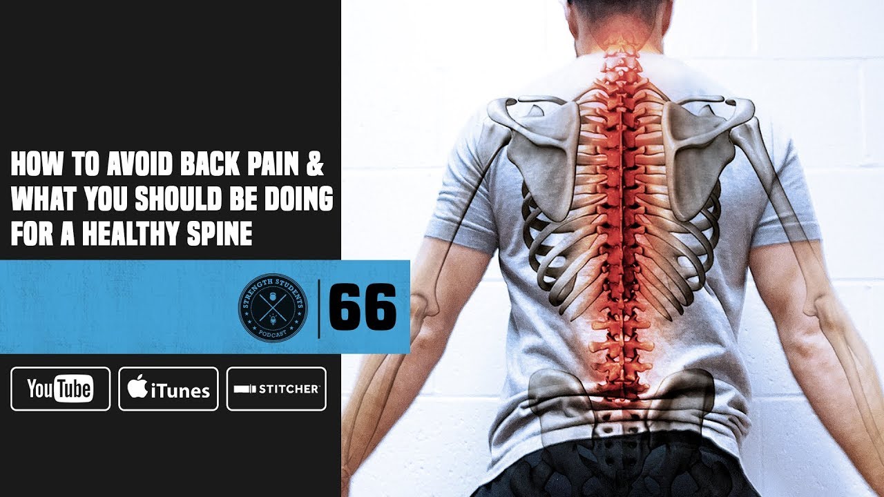 #66 How to Avoid Back Pain & What You Should Be Doing For a Healthy ...
