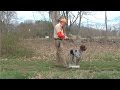 Place Boards and Pointing Dogs-Part 1 Place Boards and Pointing Dogs-Part 1