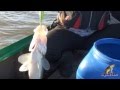 Рыбалка октябрь 2013 часть 7