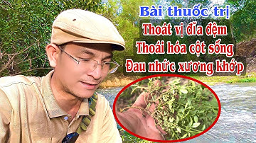 Bài thuốc trị Thoái hoá xương khớp, thoát vị đĩa đệm. PHAN HẢI Channel