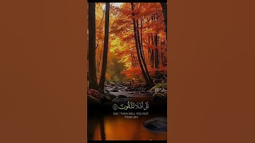 #تلاوة_خاشعة #ياسر_الدوسري #القرآن_الكريم #راحة_نفسية #اكتب_شي_تؤجر_عليه #foryou #fypシ゚ #islam #vira