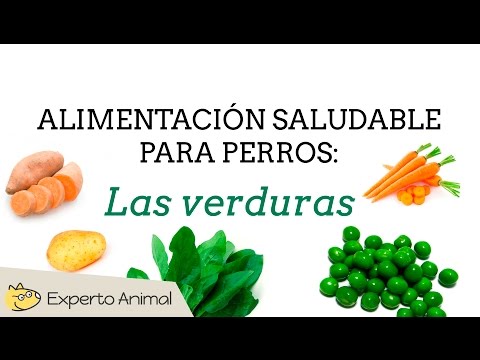 Video: ¿Qué nutrientes hacen los perros de las verduras?