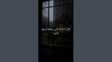 الشيخ محمد ايوب #quran #اكتب_شي_تؤجر_عليه #تلاوات #قرآن #قران_كريم #محمد_ايوب