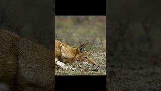 Go, Sethi. The World Is Waiting For You.