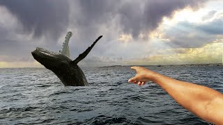 Heftige Überraschung Beim Hochsee-Angeln