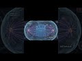 Cell Cycle Checkpoints | Cell Cycle Regulation 🔥