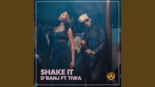Shake It (feat. Tiwa Savage) - D'Banj