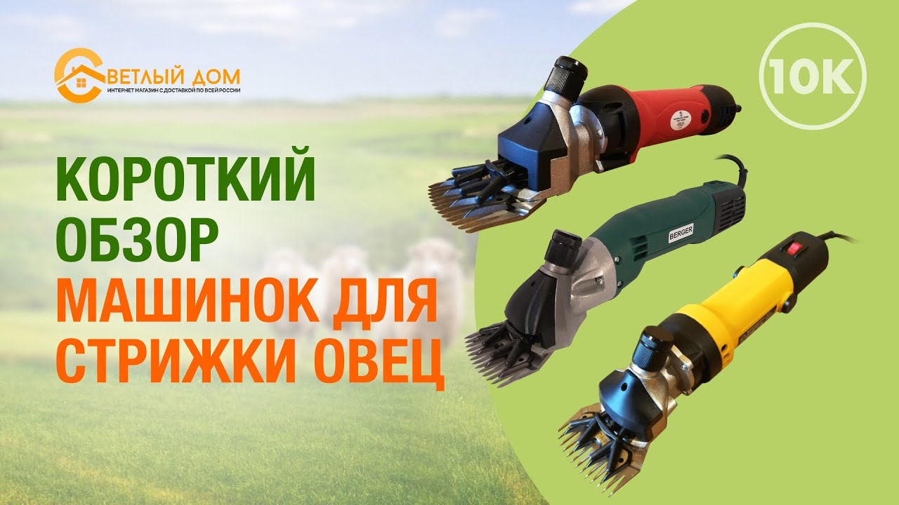 10к. Профессиональный обзор лучших машинок для стрижки овец. Какую выбрать машинку для стрижки овец?