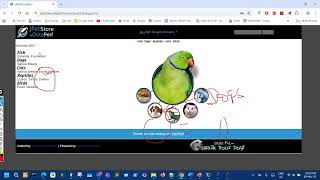 PT&PE using JMeter - Year-2025 - Day-44