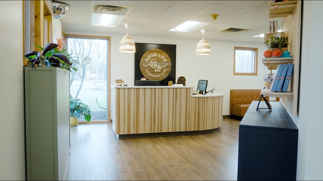 Good Life Veterinary Care What to Expect YouTube