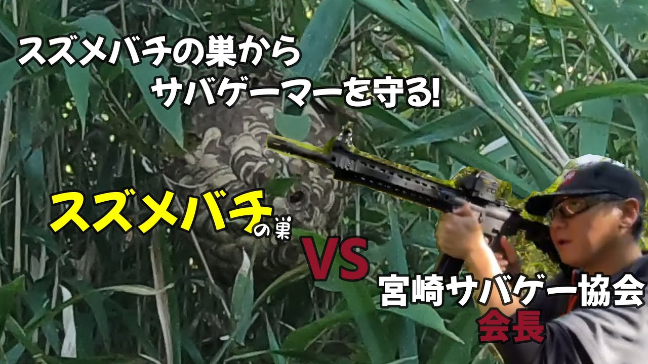 遊べる農園 番外編 サバゲーフィールド整備 知人の スズメバチ Vs 宮崎サバゲー協会会長 Youtube