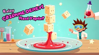 Çözünme Deneyi Okul Öncesi Deneyleri