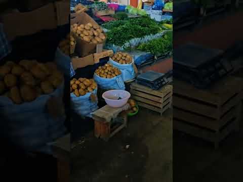 Azərbaycan Gəncə Şəhəri