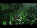 Lluvia relajante para dormir en casa de selva.