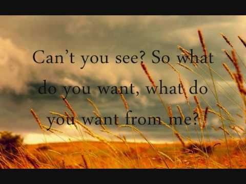 What Do You Want  - Jerrod Niemann (with lyrics)