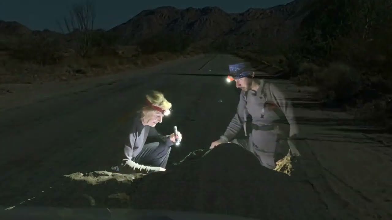 Трейлер канала