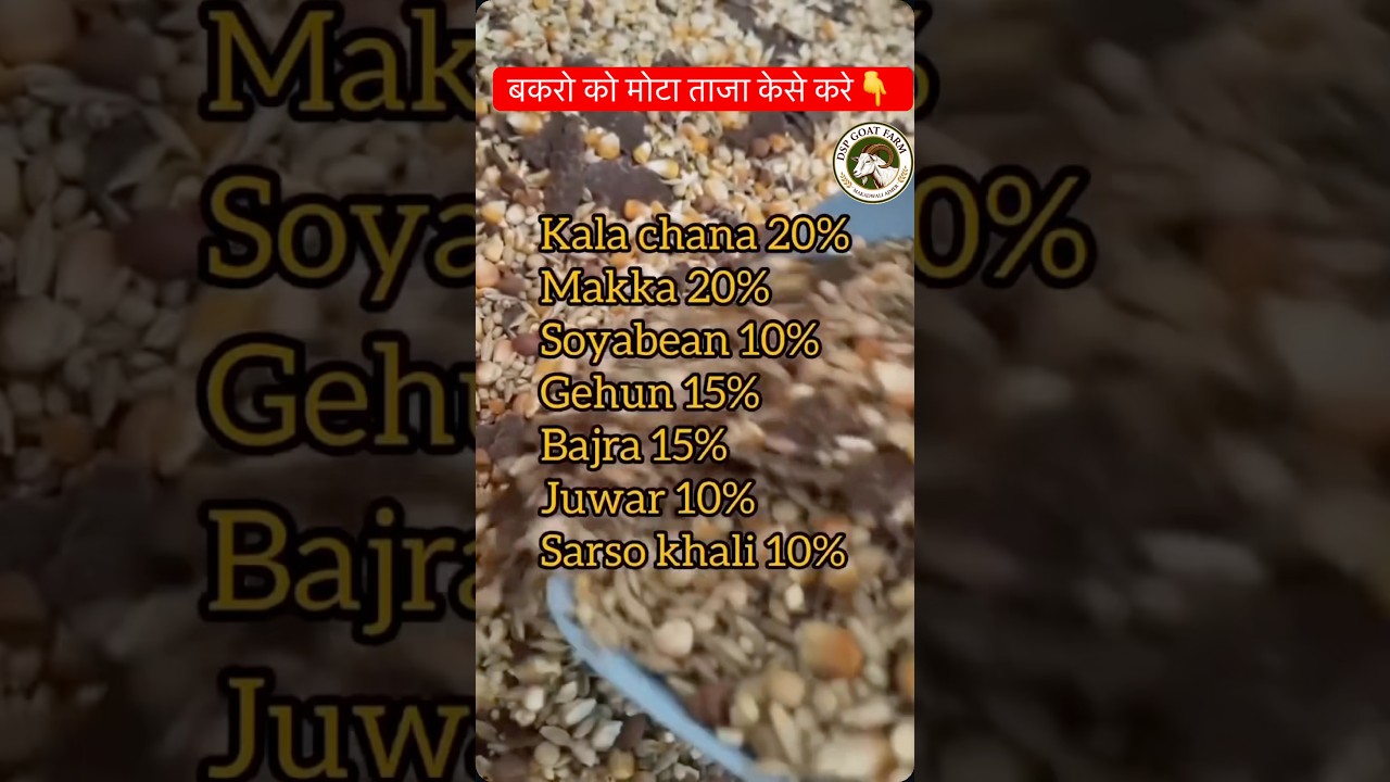 घोड़े जेसे बकरे केसे बनाए?5/7 kg monthly