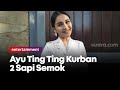 Rayakan Idul Adha, Ayu Ting Ting Kurban 2 Sapi Semok