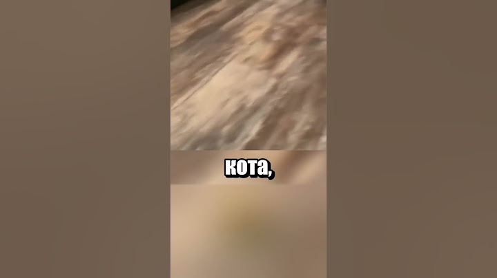 Мам, кого ты нам еще принесла?